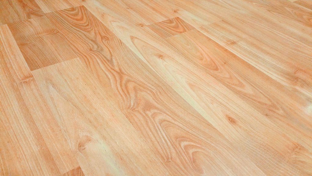 vinyl floors shine restoration steps