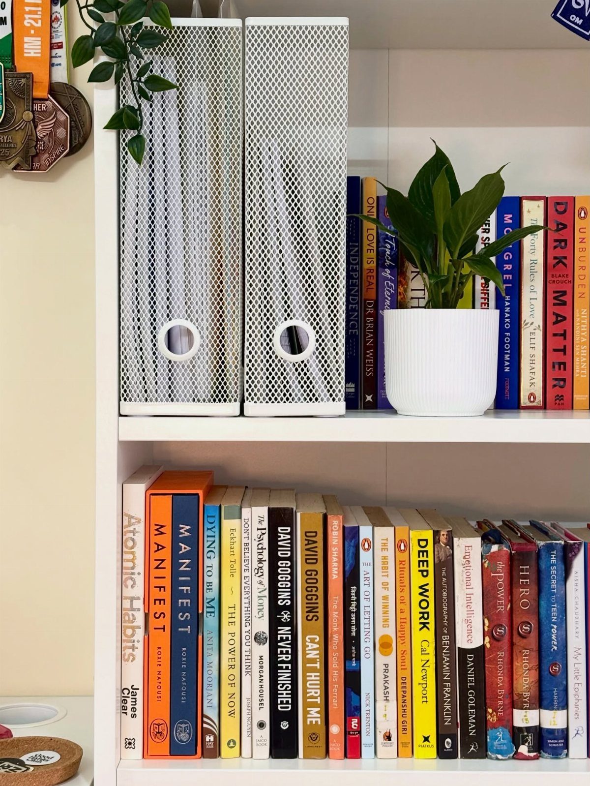 White bookshelf with colorful books, white magazine holders, and a small potted plant.